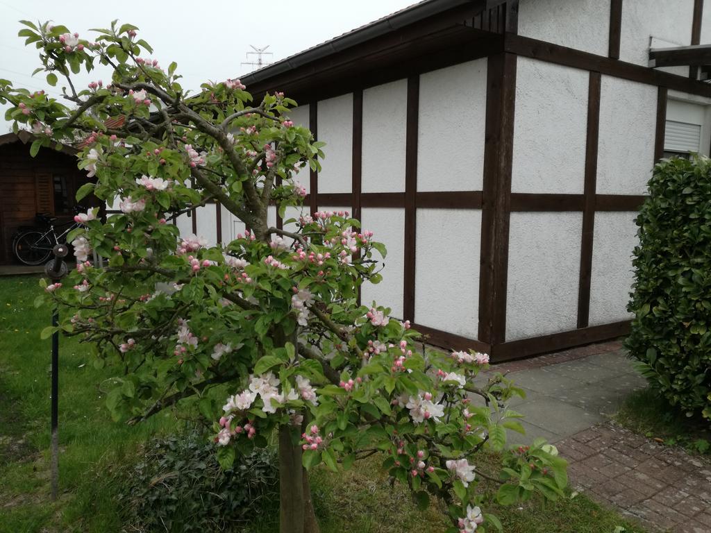 Ferienhaus Apfelbluete Twielenfleth Exterior photo